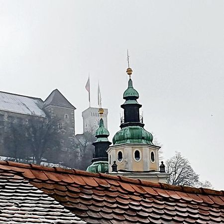 Petkovsek Rooms And Apartments Ljubljana Eksteriør billede