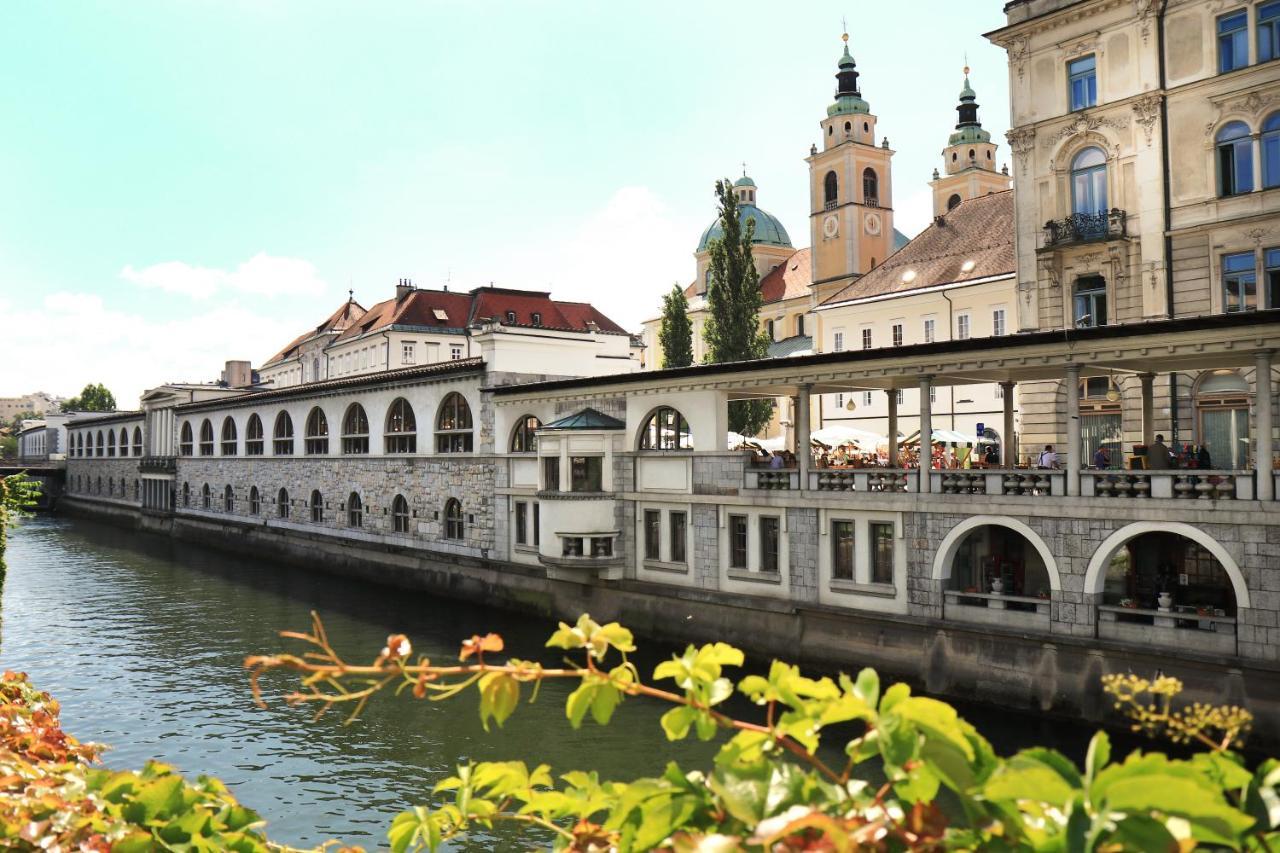 Petkovsek Rooms And Apartments Ljubljana Eksteriør billede