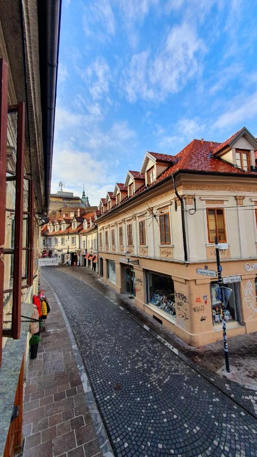 Petkovsek Rooms And Apartments Ljubljana Eksteriør billede